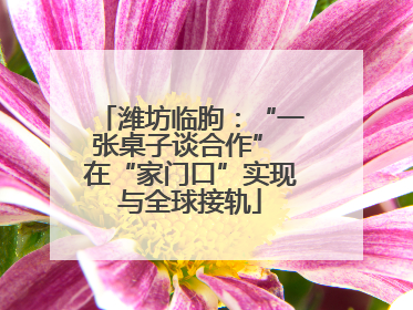 潍坊临朐：“一张桌子谈合作” 在“家门口”实现与全球接轨