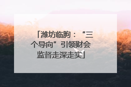潍坊临朐：“三个导向”引领财会监督走深走实