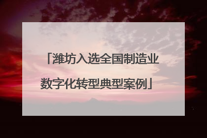 潍坊入选全国制造业数字化转型典型案例