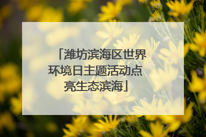 潍坊滨海区世界环境日主题活动点亮生态滨海