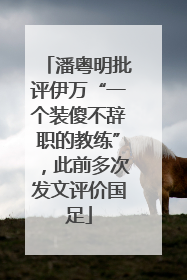 潘粤明批评伊万“一个装傻不辞职的教练”，此前多次发文评价国足