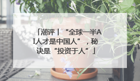 潮评丨“全球一半AI人才是中国人”，秘诀是“投资于人”
