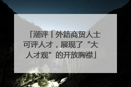 潮评丨外籍商贸人士可评人才，展现了“大人才观”的开放胸襟