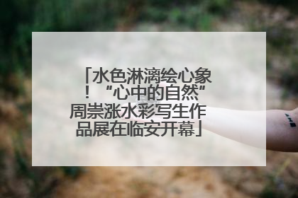 水色淋漓绘心象！“心中的自然”周崇涨水彩写生作品展在临安开幕