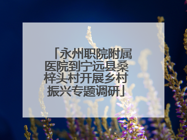 永州职院附属医院到宁远县桑梓头村开展乡村振兴专题调研