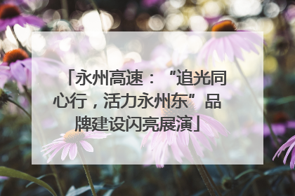 永州高速：“追光同心行，活力永州东”品牌建设闪亮展演
