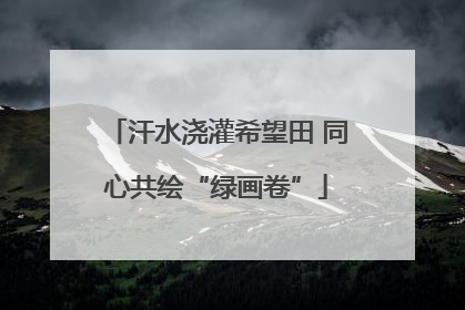 汗水浇灌希望田 同心共绘“绿画卷”