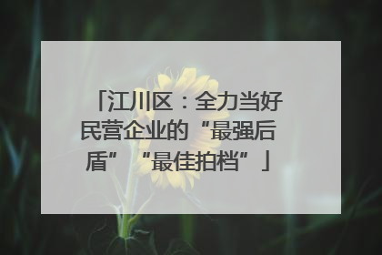 江川区：全力当好民营企业的“最强后盾”“最佳拍档”