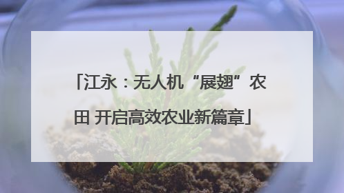 江永：无人机“展翅”农田 开启高效农业新篇章