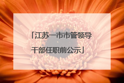 江苏一市市管领导干部任职前公示