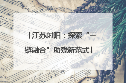 江苏射阳：探索“三链融合”助残新范式