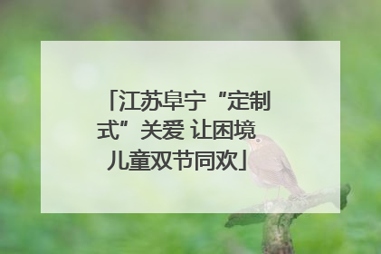 江苏阜宁“定制式”关爱 让困境儿童双节同欢