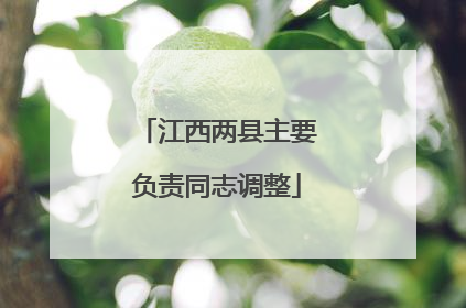 江西两县主要负责同志调整