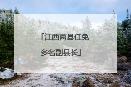 江西两县任免多名副县长