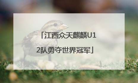 江西众天麒麟U12队勇夺世界冠军