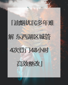 油烟扰民多年难解 东西湖区城管4次登门48小时高效整改
