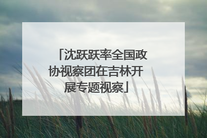 沈跃跃率全国政协视察团在吉林开展专题视察