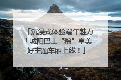 沉浸式体验端午魅力！城阳巴士“粽”享美好主题车厢上线！