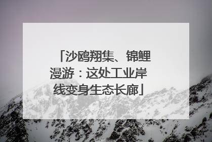 沙鸥翔集、锦鲤漫游：这处工业岸线变身生态长廊