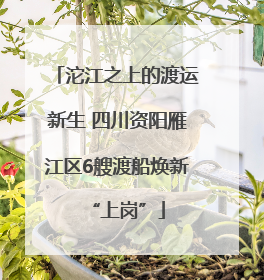 沱江之上的渡运新生 四川资阳雁江区6艘渡船焕新“上岗”
