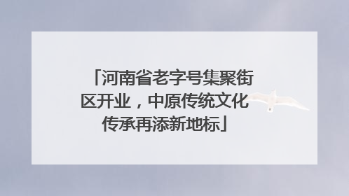 河南省老字号集聚街区开业，中原传统文化传承再添新地标