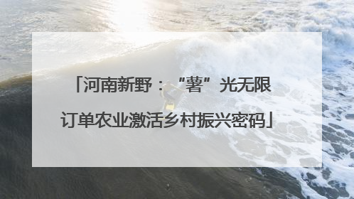 河南新野：“薯”光无限 订单农业激活乡村振兴密码