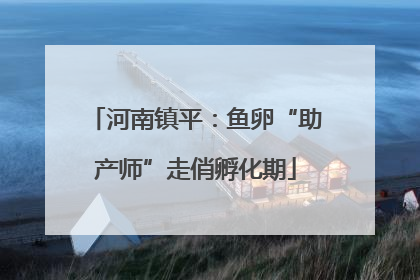 河南镇平：鱼卵“助产师”走俏孵化期