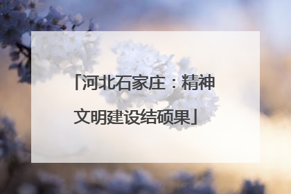 河北石家庄：精神文明建设结硕果