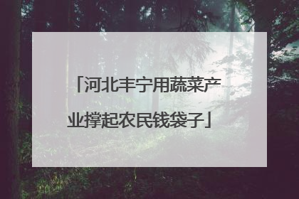 河北丰宁用蔬菜产业撑起农民钱袋子