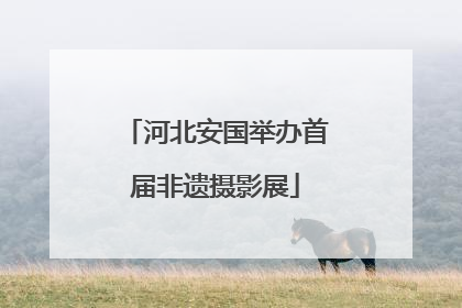 河北安国举办首届非遗摄影展