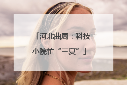 河北曲周：科技小院忙“三夏”