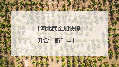 河北民企加快提升含“新”量