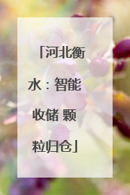 河北衡水：智能收储 颗粒归仓