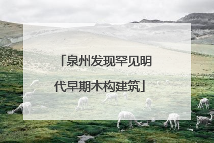 泉州发现罕见明代早期木构建筑