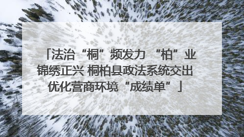 法治“桐”频发力 “柏”业锦绣正兴 桐柏县政法系统交出优化营商环境“成绩单”