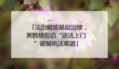 法治赋能基层治理，黄鹤楼街道“送法上门”破解执法难题