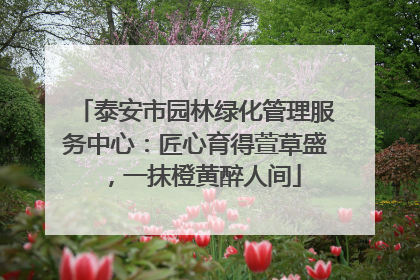 泰安市园林绿化管理服务中心：匠心育得萱草盛，一抹橙黄醉人间