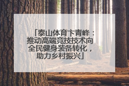 泰山体育卞青峰：推动高端竞技技术向全民健身装备转化，助力乡村振兴