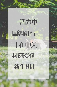 活力中国调研行｜在中关村感受创新生机