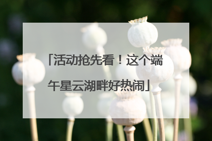活动抢先看！这个端午星云湖畔好热闹