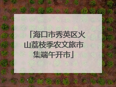海口市秀英区火山荔枝季农文旅市集端午开市