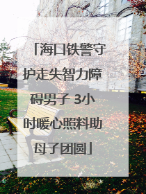 海口铁警守护走失智力障碍男子 3小时暖心照料助母子团圆