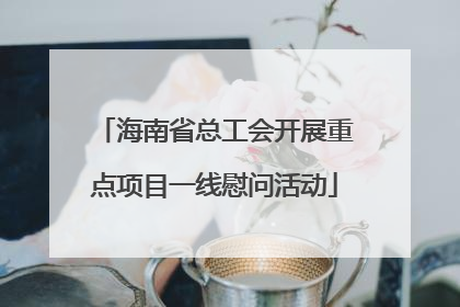 海南省总工会开展重点项目一线慰问活动