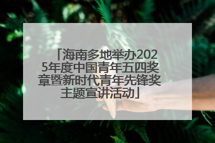 海南多地举办2025年度中国青年五四奖章暨新时代青年先锋奖主题宣讲活动