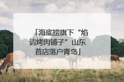 海底捞旗下“焰请烤肉铺子”山东首店落户青岛
