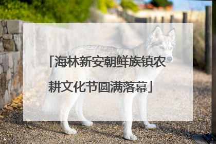 海林新安朝鲜族镇农耕文化节圆满落幕