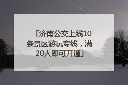 济南公交上线10条景区游玩专线，满20人即可开通
