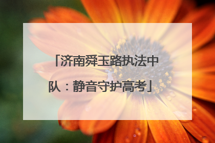 济南舜玉路执法中队：静音守护高考