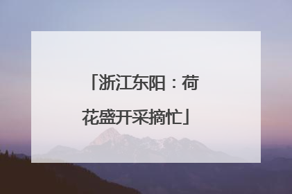 浙江东阳：荷花盛开采摘忙