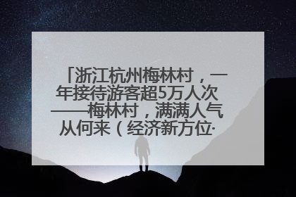 浙江杭州梅林村，一年接待游客超5万人次——梅林村，满满人气从何来（经济新方位·农村消费观察）